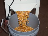 Clean Corn
                    Discharge of Shur-Kleen Corn Cleaner